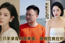 三只羊录音门事件完整始末
