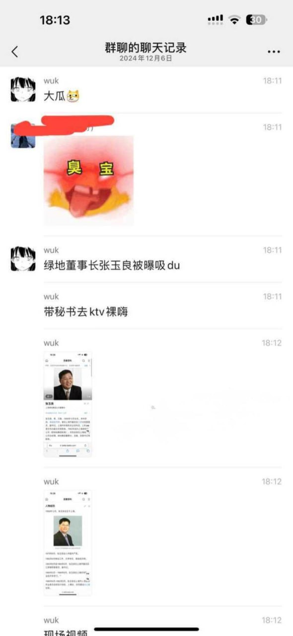 绿地集团 董事长 张玉良 不雅视频流出  第3张