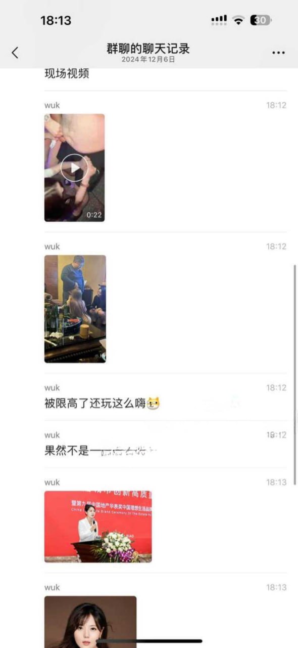 绿地集团 董事长 张玉良 不雅视频流出  第6张