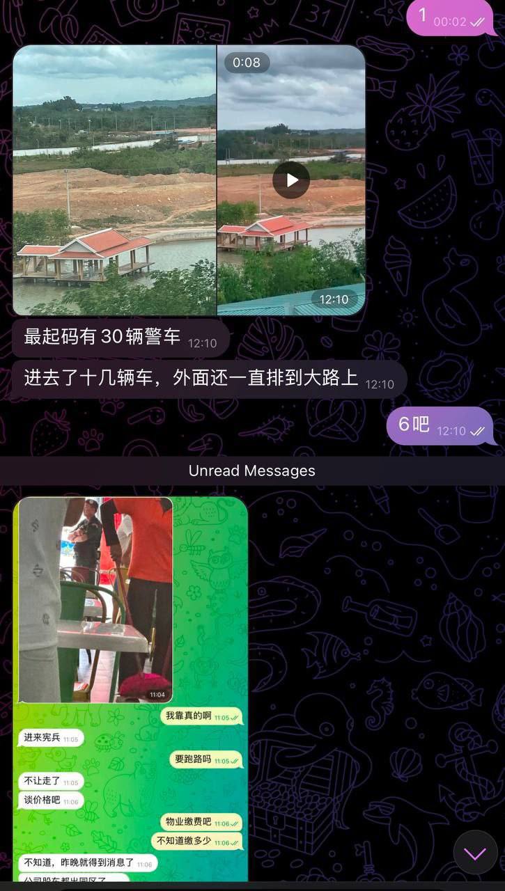 柬埔寨菩萨园区16局被端  第2张