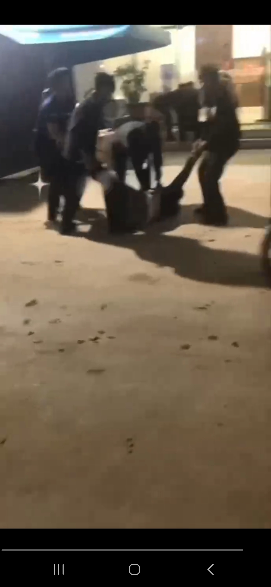 狗推逃跑被抓回来毒打