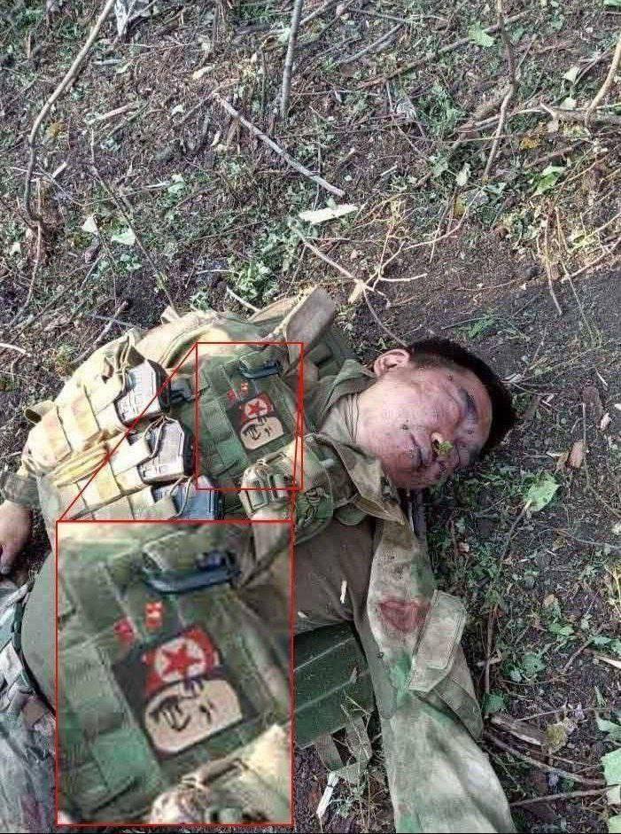 韩情报机构：援俄朝军至少有100人阵亡  第2张