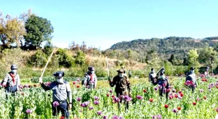 缅甸是国际鸦片和海洛因主要来源地 掸邦 在全球“出名”  第2张